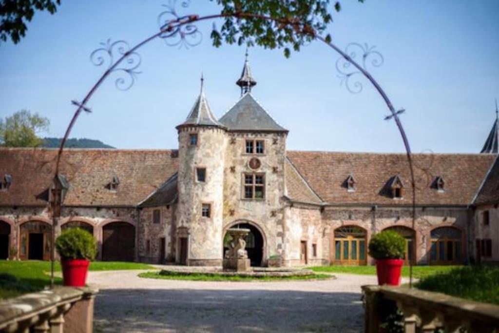 Le Patio Du Chateau De Thanvillé 外观 照片